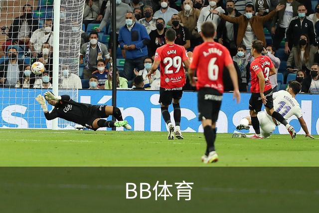 BB体育公司介绍展示图